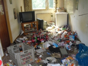 Desinfizierung-Renovierung (1).JPG